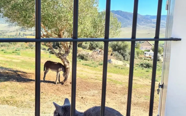 Rancho Blanco Tarifa