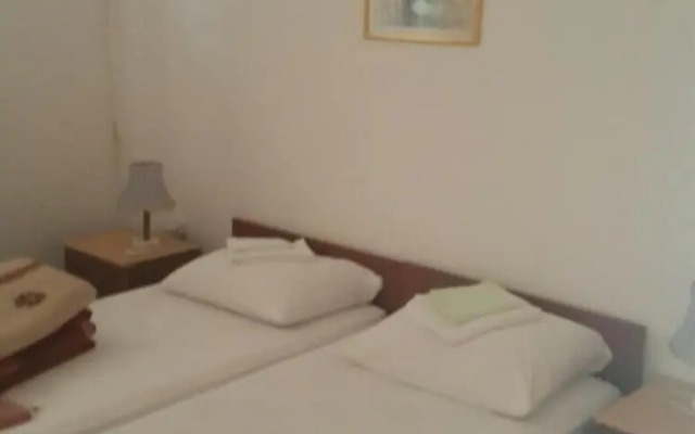 Apartments Andjus