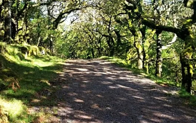 Cloghan Lodge
