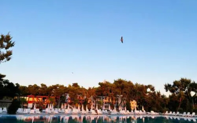 Divjaka Resort