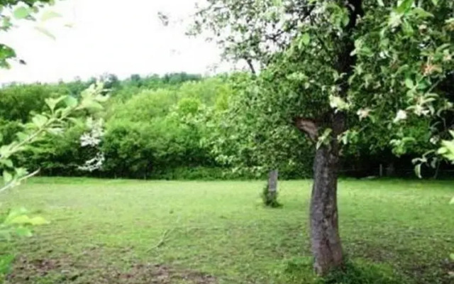 Aux 2 gîtes dArdenne