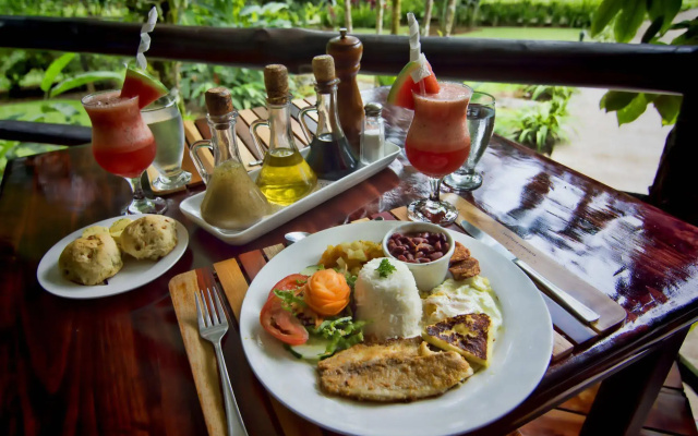 Chachagua Rainforest Hotel & Hot Springs