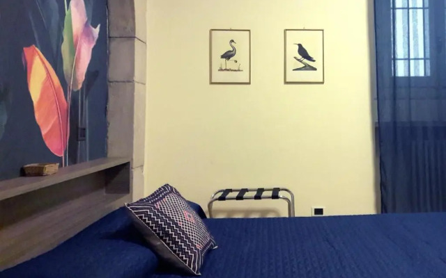 Suite Amedei4