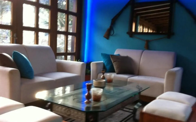 The Olive Tree Studios - Adults Only