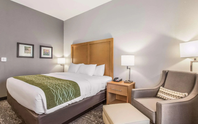 Comfort Inn Jasper South