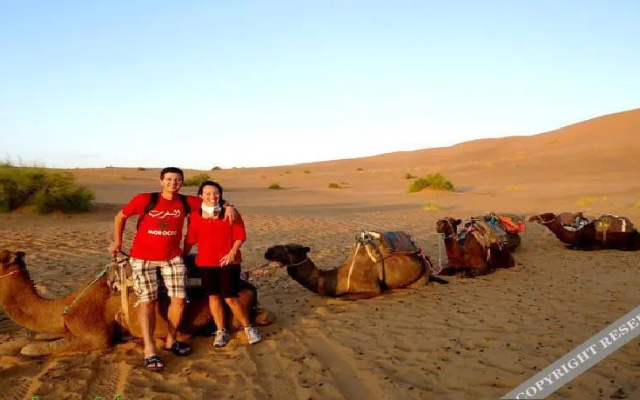 Bivouac Iguana Sahara