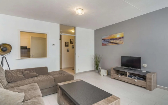Pleasant Apartment Near the Beach