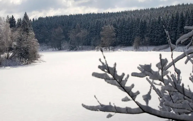 Log Cabin in Hasselfelde Near Harzer-hexen-stieg