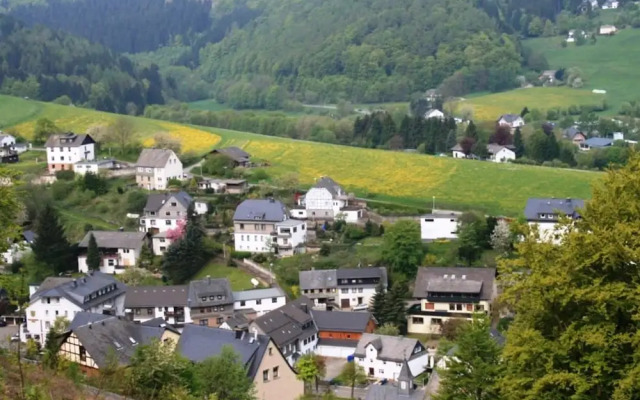Apartment in Willingen Near Ski Slopes