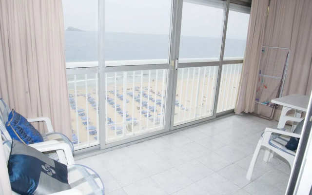 Veracruz Alquilevante