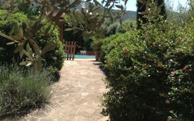 Отель Agriturismo Collelignani Италия, Сполето - отзывы, цены и фото номеров - забронировать отель Agriturismo Collelignani онлайн