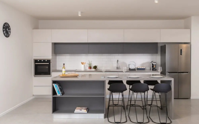 Shenkin Apartments by Master