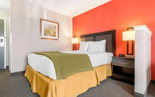 Quality Inn & Suites - Toronto West