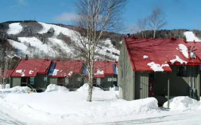 Chalet - 16 Chemin Des Adirondacks
