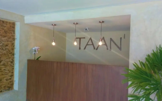 TAAN'