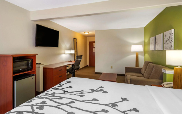 Sleep Inn & Suites Stockbridge Atlanta South