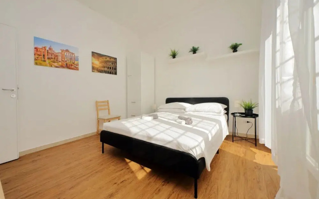 Zucchi Rooms