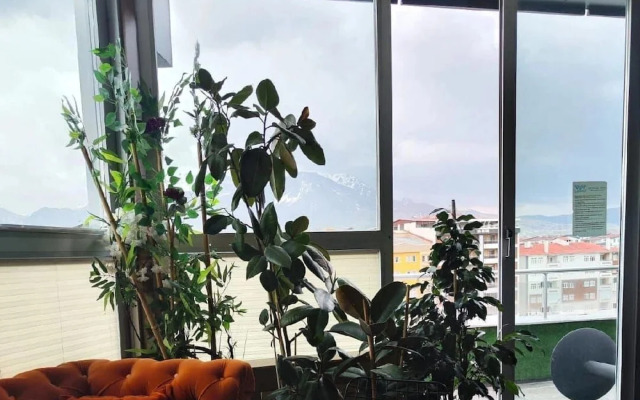 Crystall Hotel