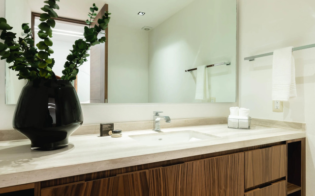 Casai Huge 2 BR BA apt 5 min From Museo Soumaya Carso