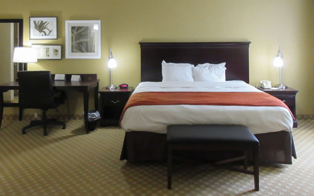 Quality Inn & Suites Alexandria