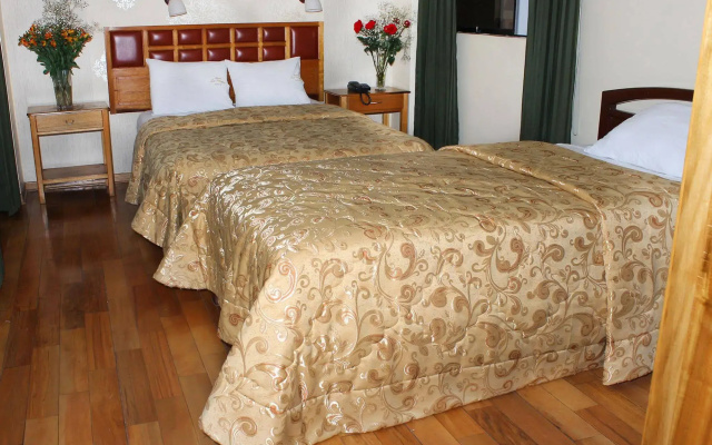 Hotel Le Mans