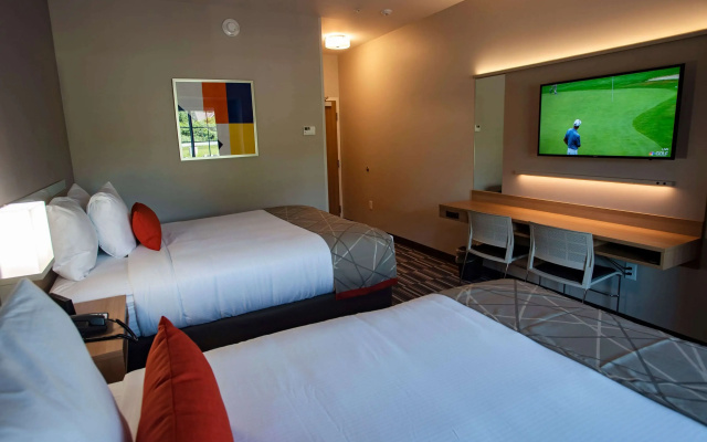 Microtel Inn & Suites by Wyndham Amsterdam