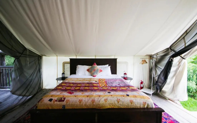 Firelight Camps