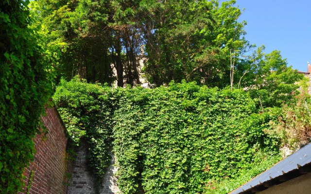 Studio Cosy - Le Chatelain