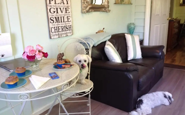 Must Love Dogs B&b