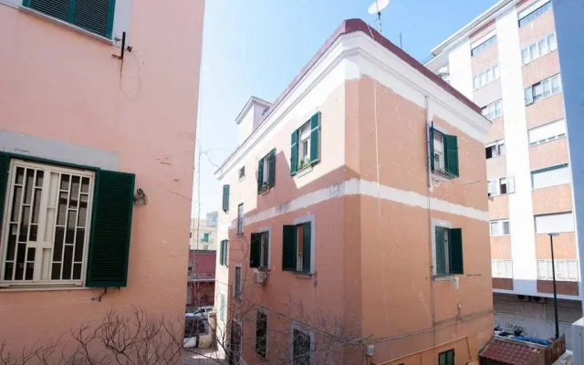 Cammarano 12