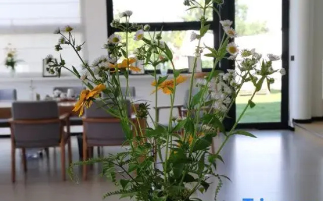 Wencheng Shiyiyue Homestay
