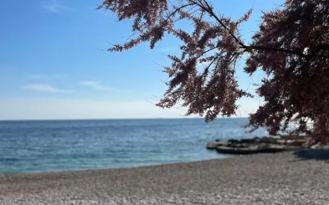 Beach Stay Apartment Ivon