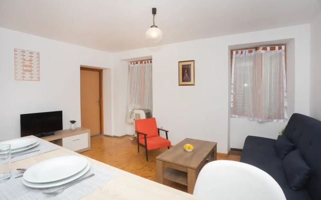 Downtown apartment Danica