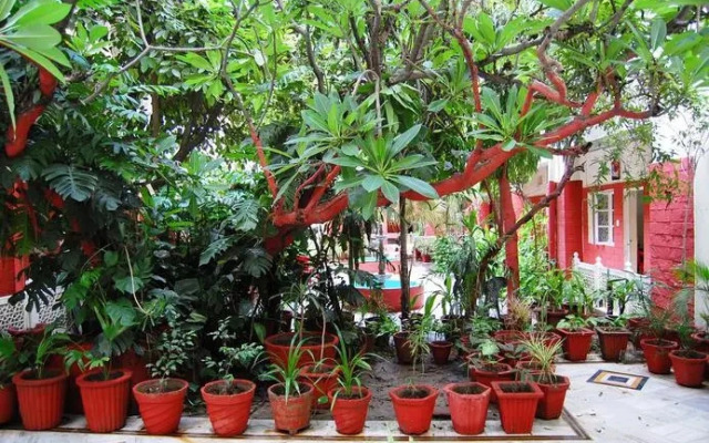 Tourist Rest House