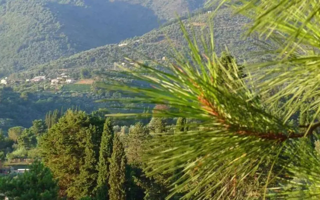 Le Gusciane