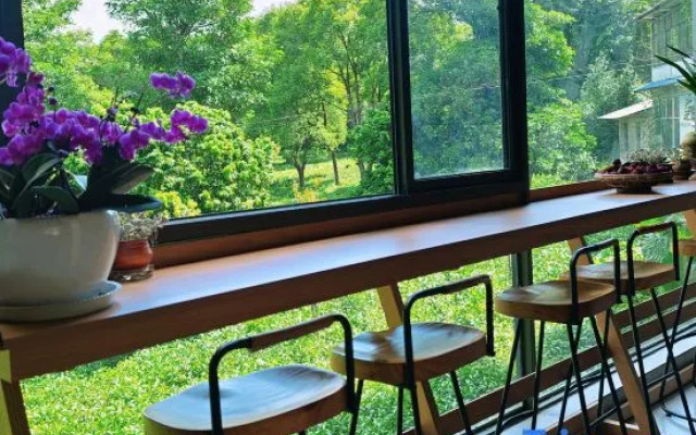 Xiangshi Jingmai · Homestay (Puer Tea Estate)