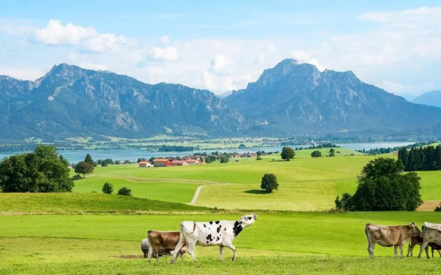 Ferienwohnung Nr 1, Beim Dannelar 8, Oberstaufen-Steibis, Allgäu