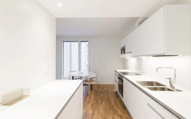 Scandinavian Apartments in City Center