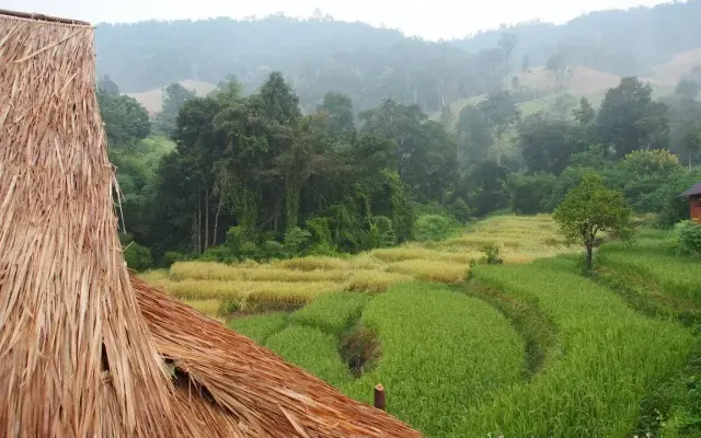 KowitFarmstay
