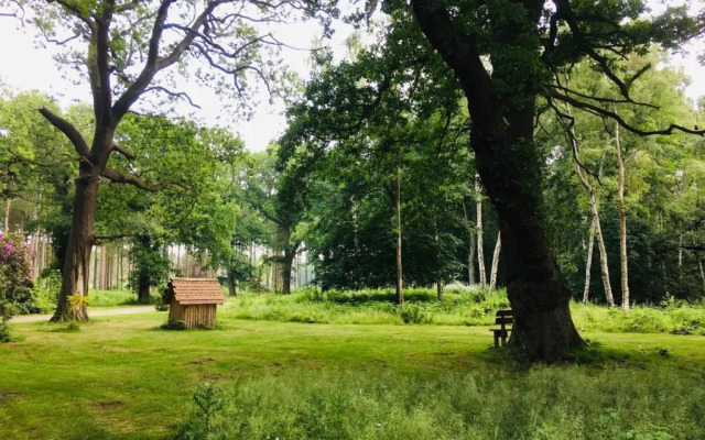 Hollicarrs Sunflower Lodge