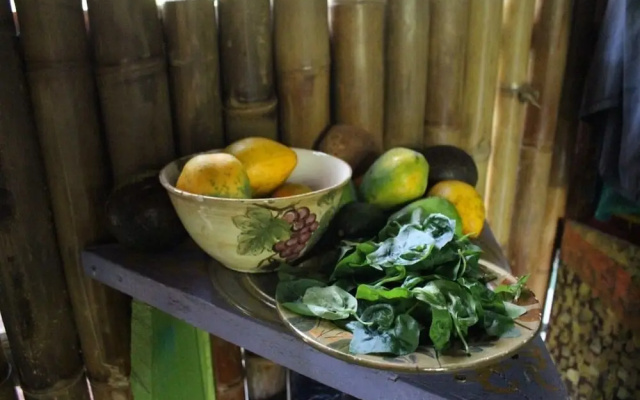 Cinderland EcoVillage - Hostel