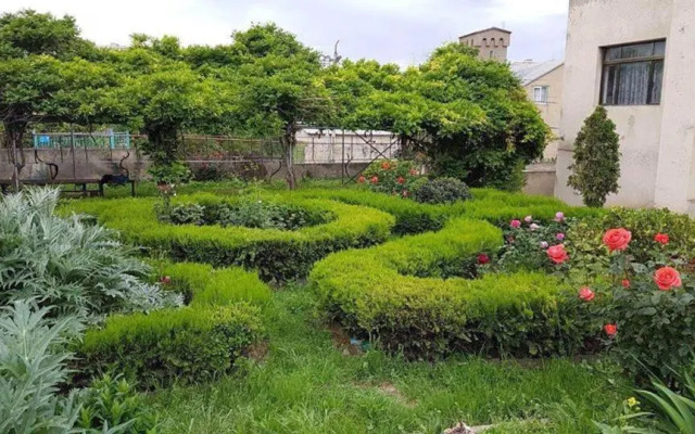 Oasis