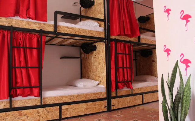 Casa Profunda Hostel
