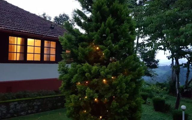 Standard Double Room-wayanad
