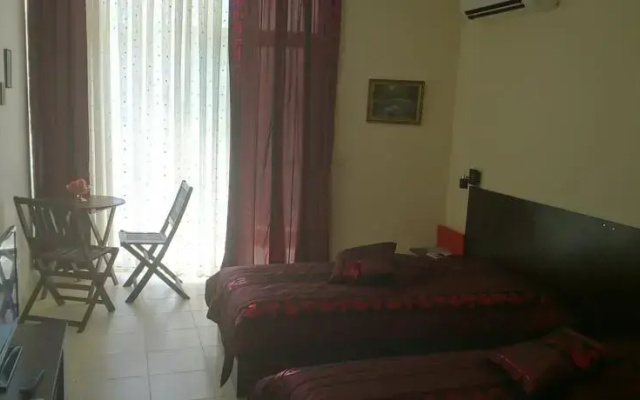 Iva Studio