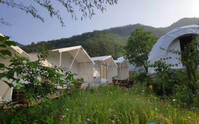 Song Wild Luxury Tent Homestay