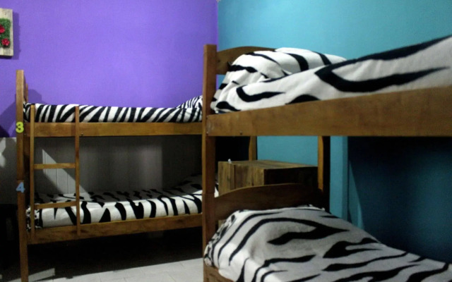 Gallagher Hostel