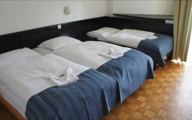 Hotel Bor & Grad Hrib