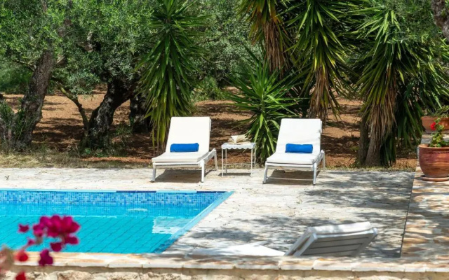Olive Grove Villa