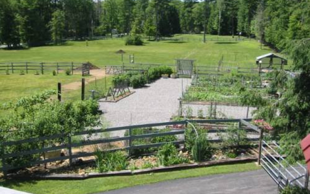 Shaker Woods Farm